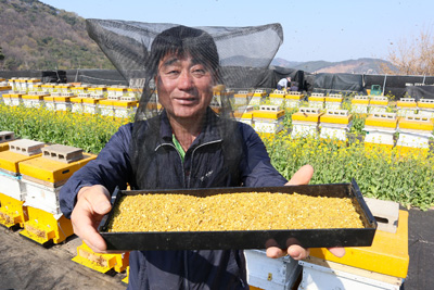 시천면 김인우 씨가 생산한 벌 화분을 들어 보이고 있다.